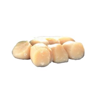 Jakobsmuschelfleisch ohne Rogen roh 10/20 700g / 900g