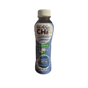 Blueberry Juice Cocochi 450ml
