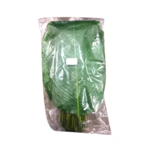 Dong gekühlte Blätter-Lá Dong Đá 1kg