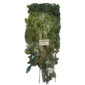 Katuk-Blätter-Rau Ngót 200g