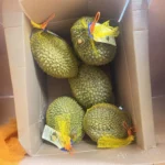 Durian