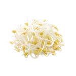 Frisce Mungbohnensprossen