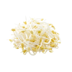 Frisce Mungbohnensprossen