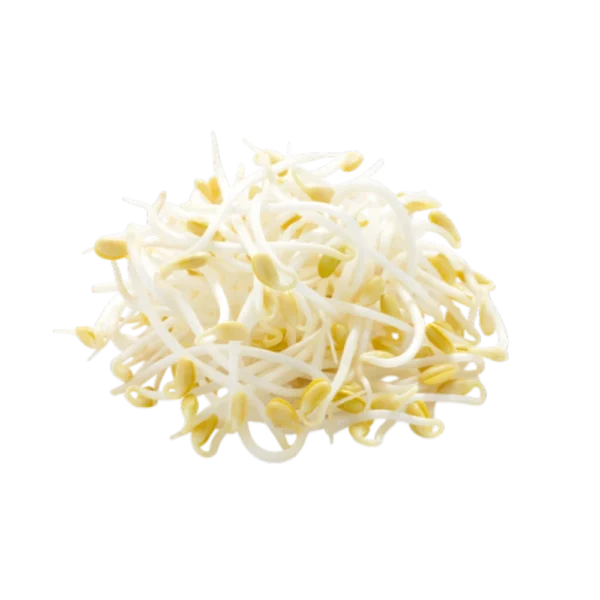 Frisce Mungbohnensprossen