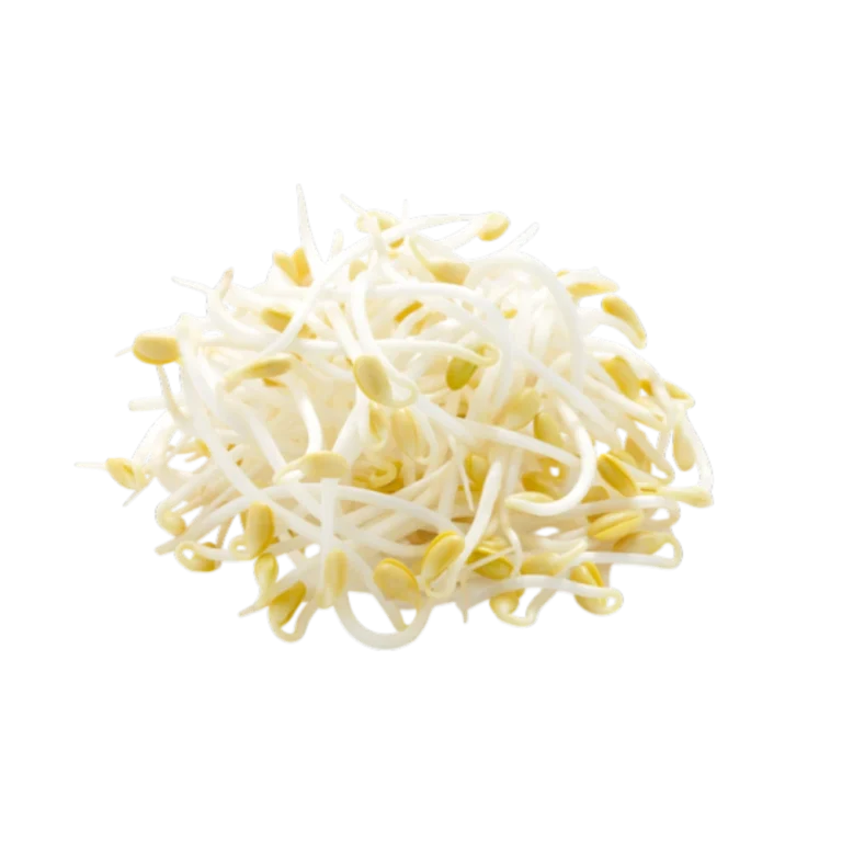 Frisce Mungbohnensprossen
